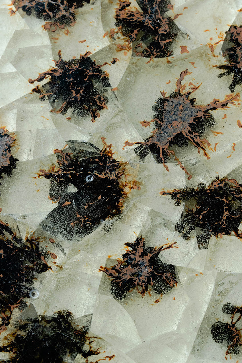 波多野　祐希　作品